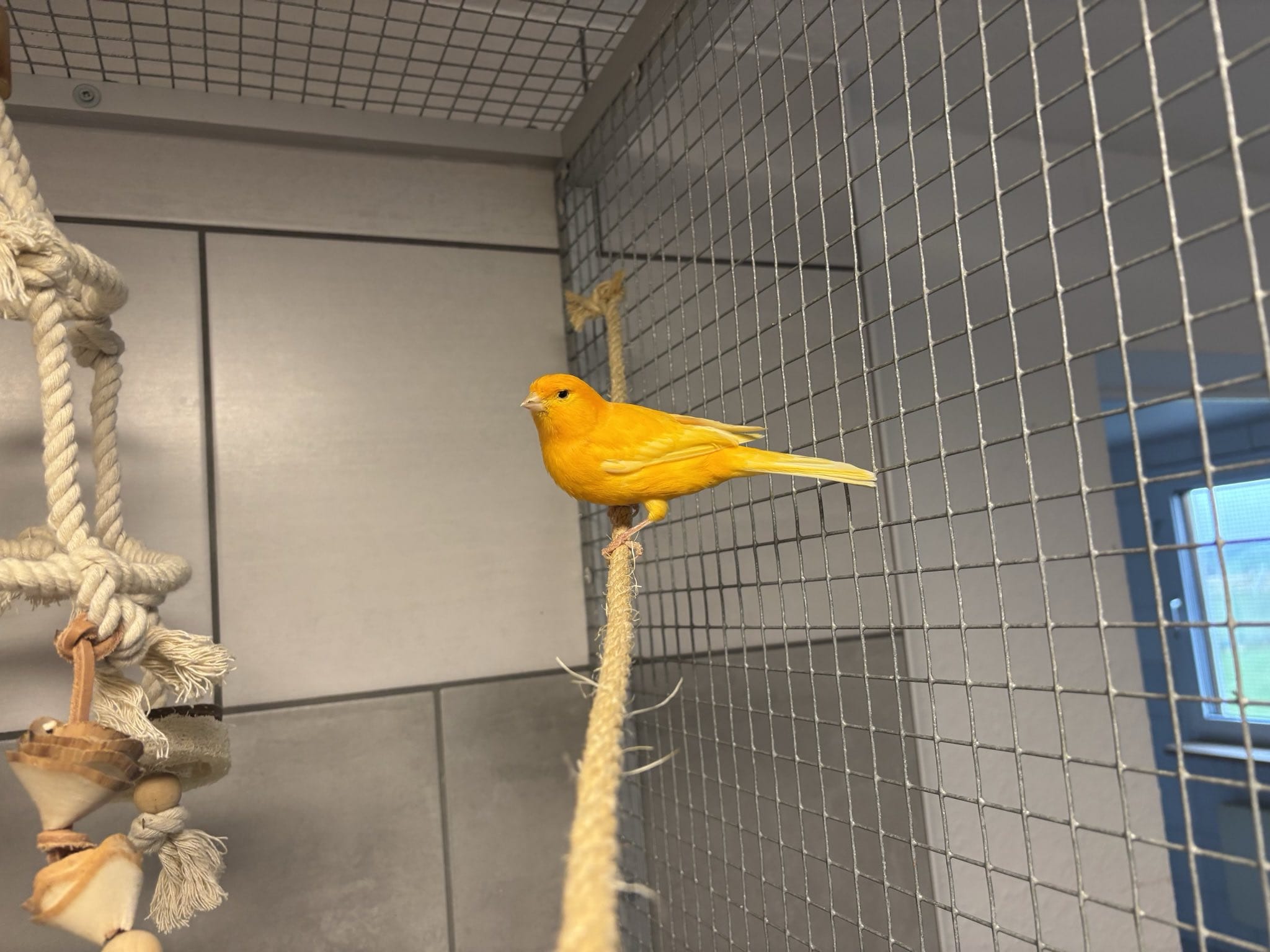 WhatsApp Image 2025-12-10 at 16.06.38 (1).jpeg